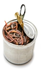 can-of-worms[1]