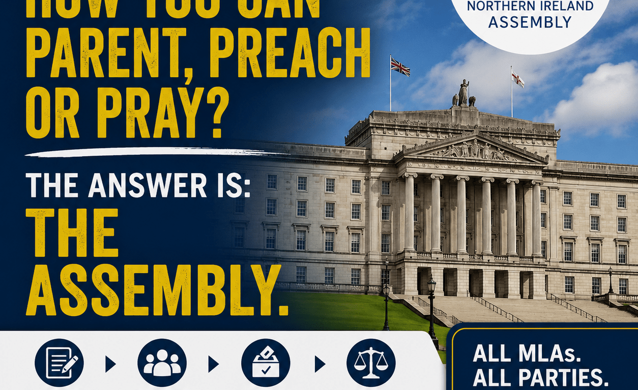 Poster asks who decides; answer: the Assembly, with Stormont, Assembly logo and law-making process.